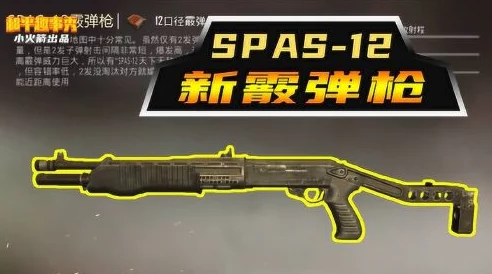 12霰弹枪性能解析-SPAS-12散弹枪获取指南，和平精英spas使用攻略