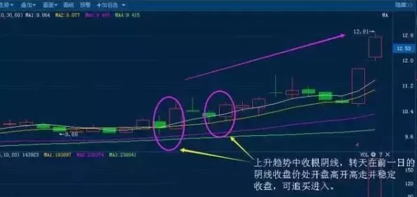 鸣潮长离技能深度爆料与最新解析：全面掌握双形态特性与应用技巧